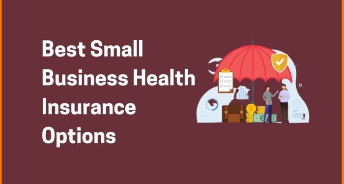 Best Health Insurance Options for Small Businesses r Startups